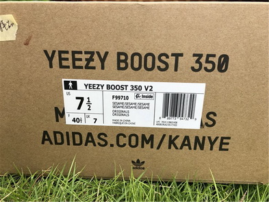 Authentic Adidas Yeezy 350 Boost V2-029