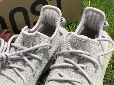 Authentic Adidas Yeezy 350 Boost V2-029
