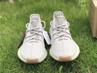 Authentic Adidas Yeezy 350 Boost V2-029