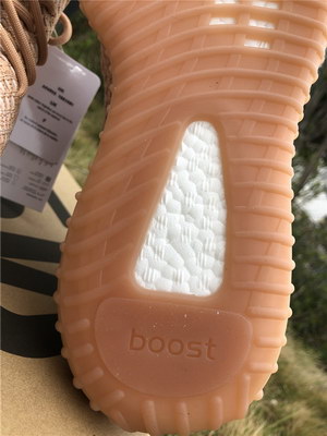 Adidas Yeezy Boost 350 V2 Clay