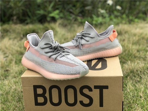 Adidas Yeezy Boost 350 V2 True Form