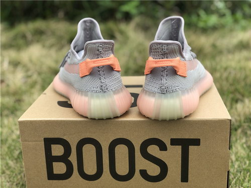 Adidas Yeezy Boost 350 V2 True Form