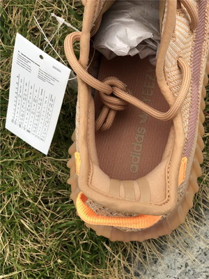 Adidas Yeezy Boost 350 V2 Clay