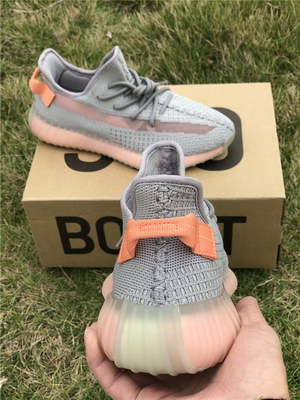 Adidas Yeezy Boost 350 V2 True Form
