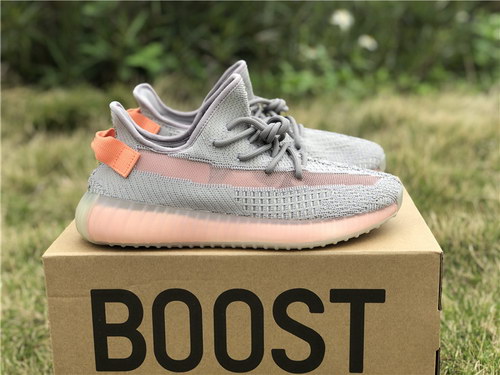 Adidas Yeezy Boost 350 V2 True Form
