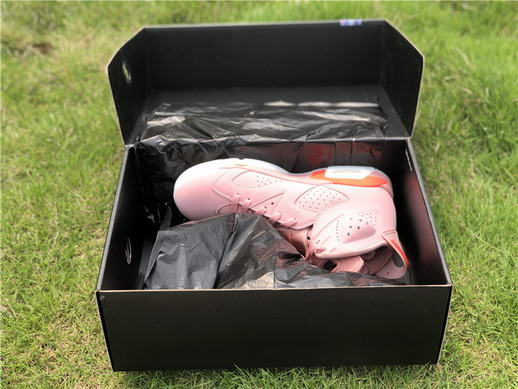 Air Jordan 6 “Aleali May”