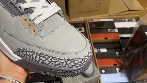 Air Jordan 3``Cool Gray''