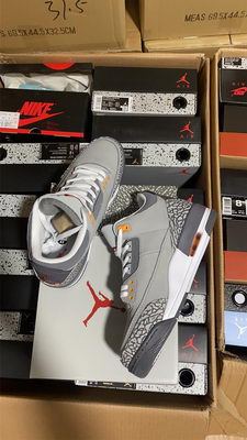 Air Jordan 3``Cool Gray''