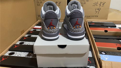 Air Jordan 3``Cool Gray''