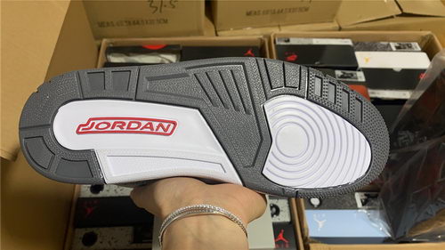 Air Jordan 3``Cool Gray''