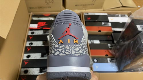 Air Jordan 3``Cool Gray''