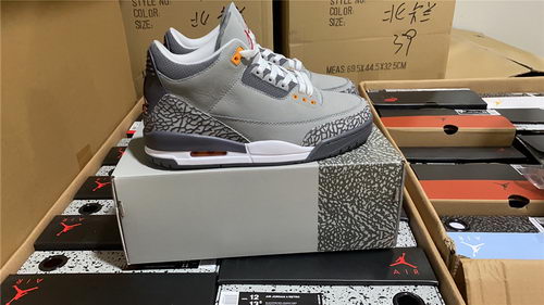Air Jordan 3``Cool Gray''
