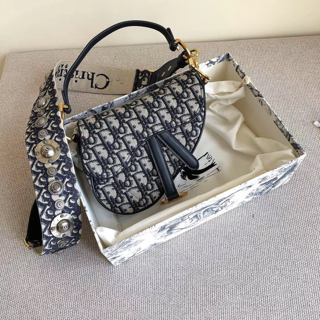Dior Handbags AAAA(Women)-095