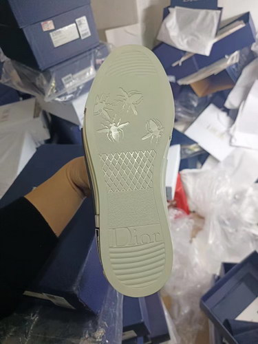 Dior Shoes(AAA)-420