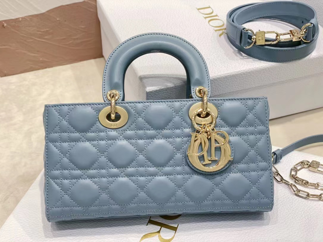 Dior Handbags AAAA(Women)-111