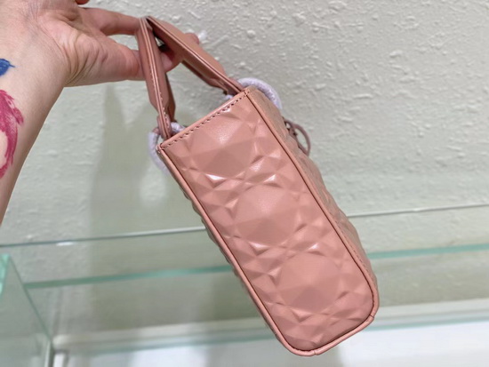 Dior Handbags AAAA(Women)-113