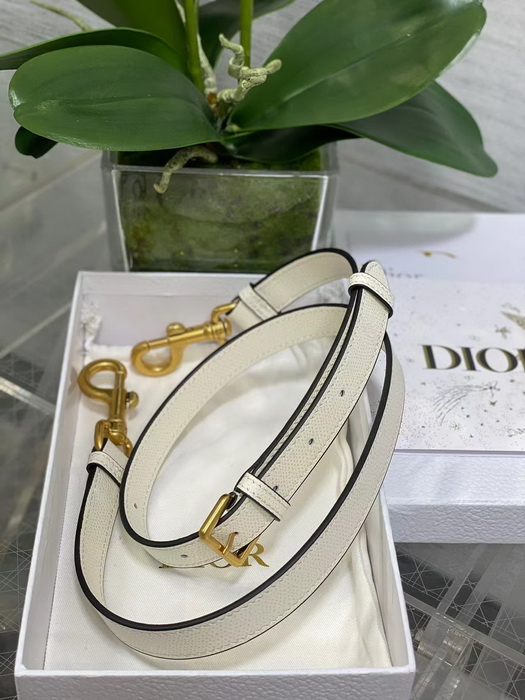 Dior Handbags AAAA(Women)-121