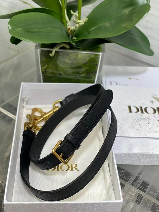 Dior Handbags AAAA(Women)-122