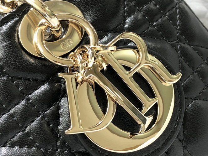 Dior Handbags AAA(Women)-225