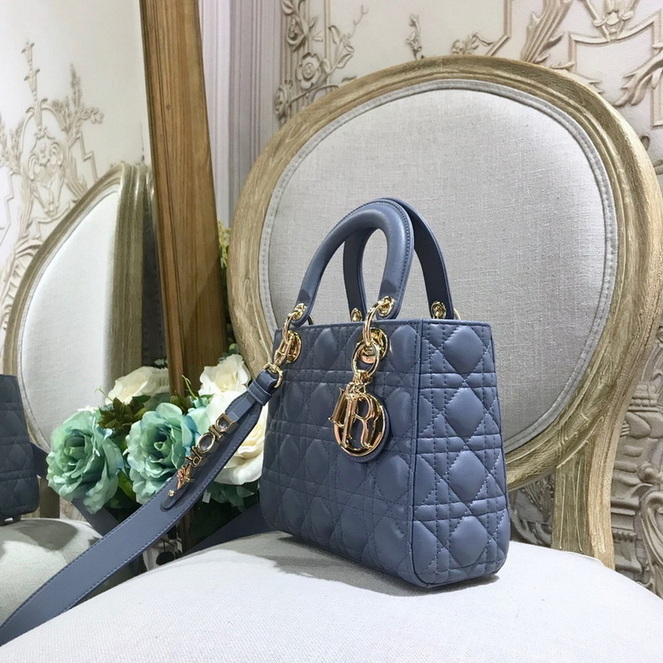 Dior Handbags AAA(Women)-257