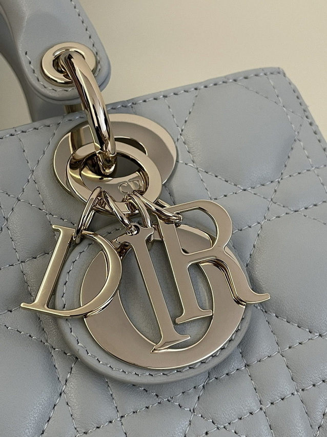 Dior Handbags AAA(Women)-308