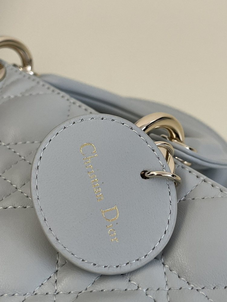 Dior Handbags AAA(Women)-308