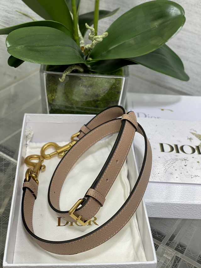 Dior Handbags AAA(Women)-381