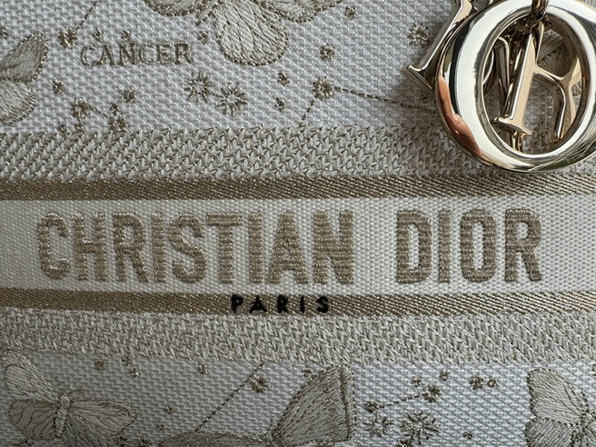 Dior Handbags AAA(Women)-503