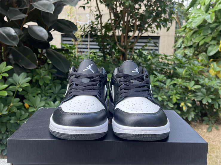 Air Jordan 1 Low-309