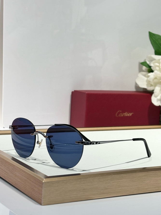 Cartier Sunglasses(AAAA)-1392