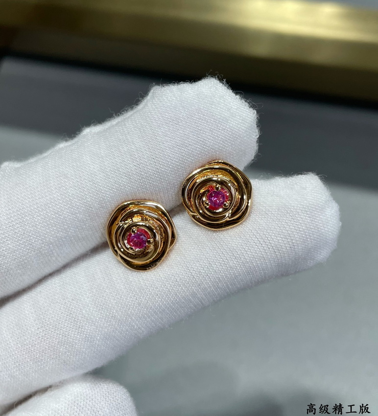 Dior Earrings-373