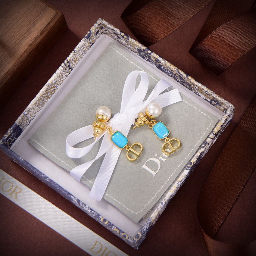 Dior Earrings-272