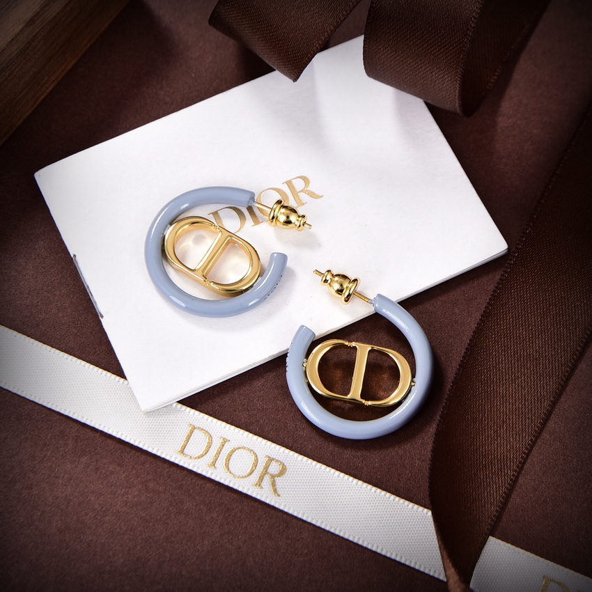 Dior Earrings-241