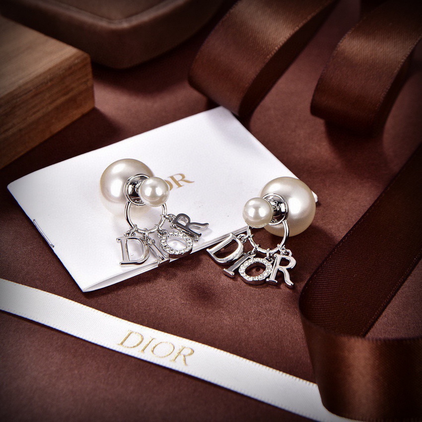 Dior Earrings-129