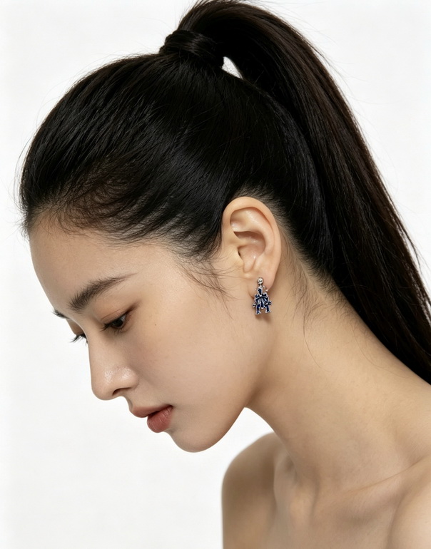 Chrome Hearts Earrings-006