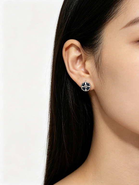 Chrome Hearts Earrings-008