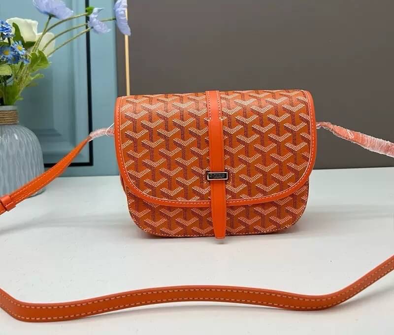 Goyard Handbags-003