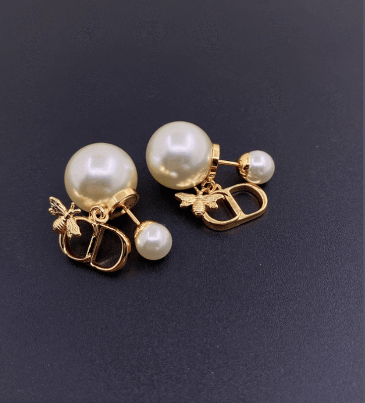 Dior Earrings-385