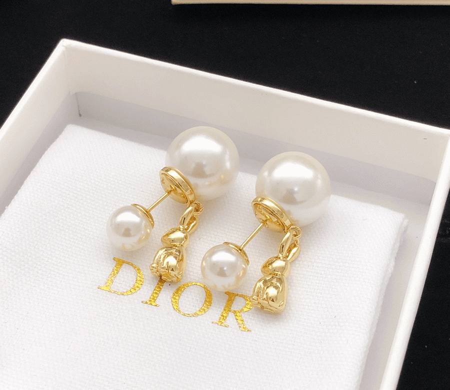 Dior Earrings-381