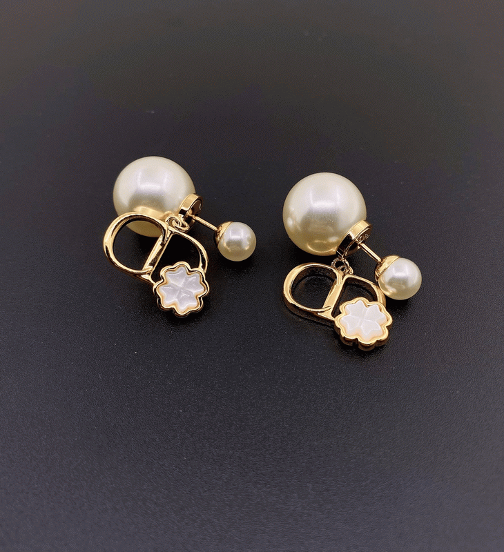 Dior Earrings-384