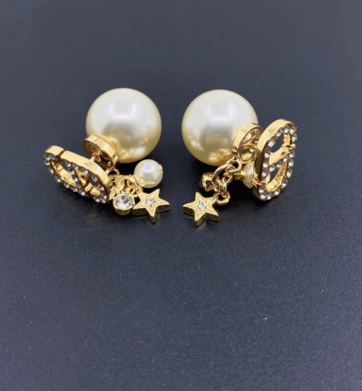 Dior Earrings-383