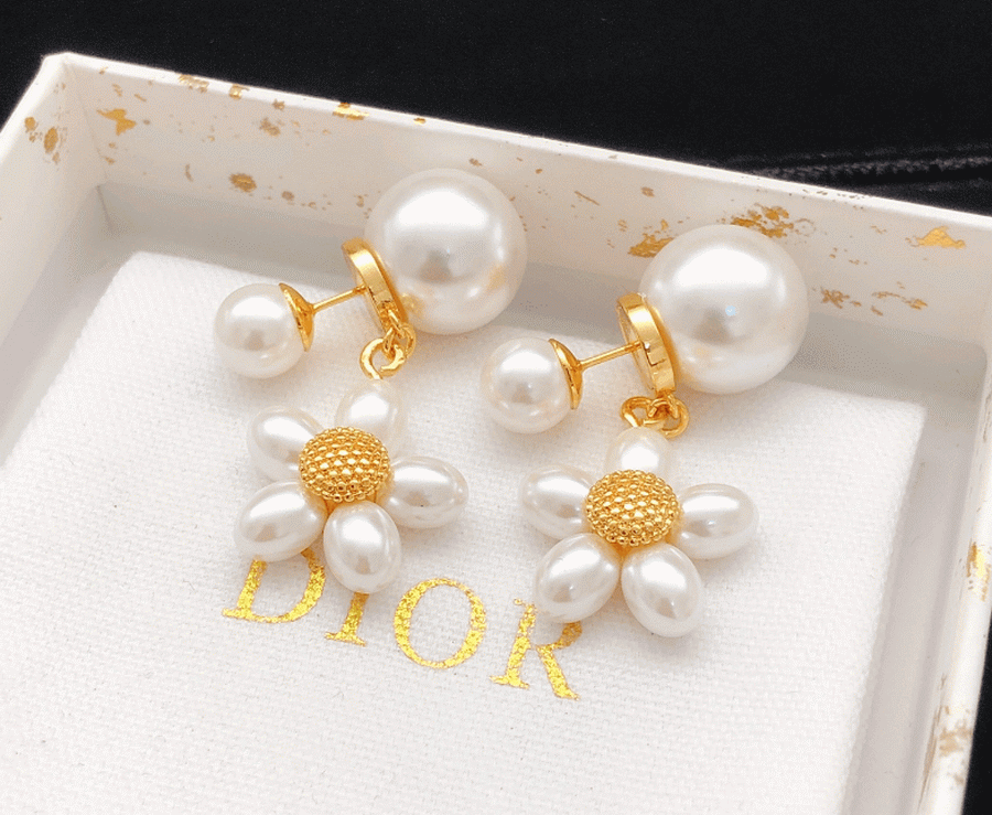 Dior Earrings-382