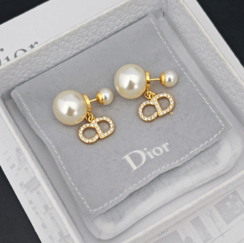 Dior Earrings-380