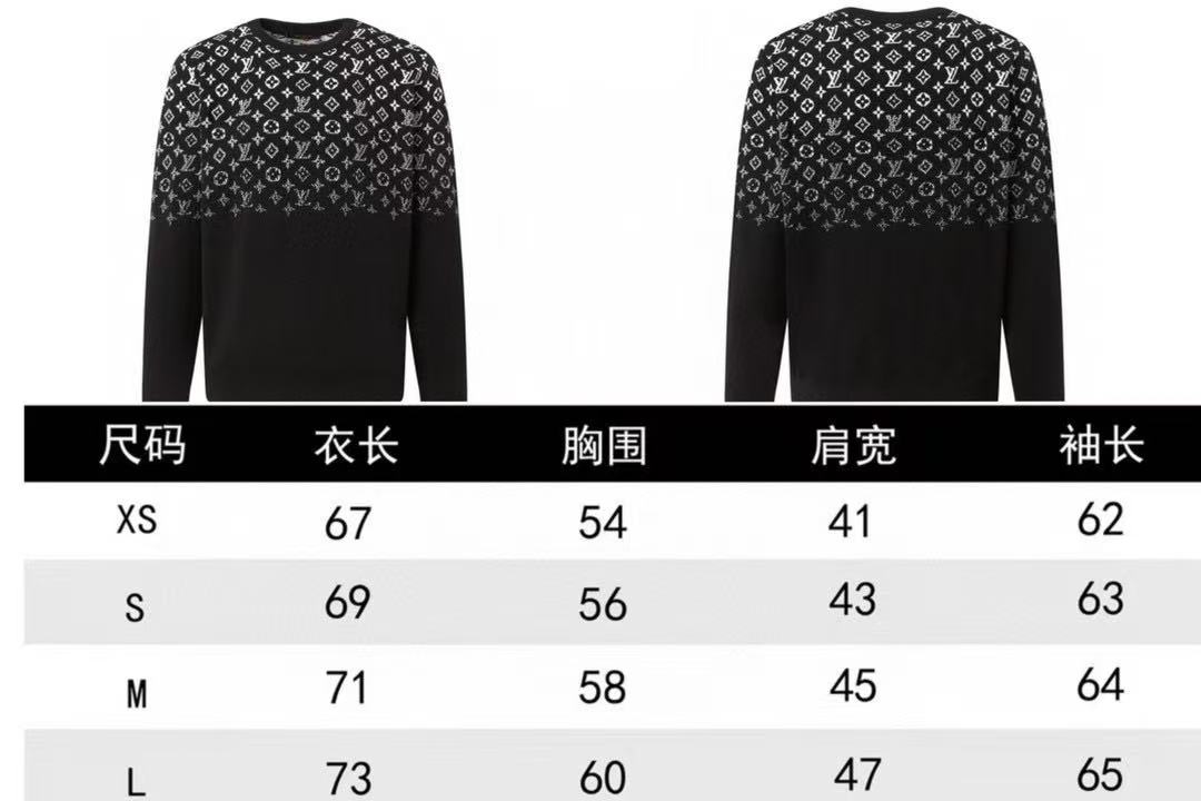 LV Sweater-439