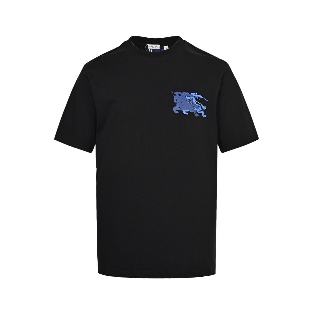 Burberry T-shirts-1065