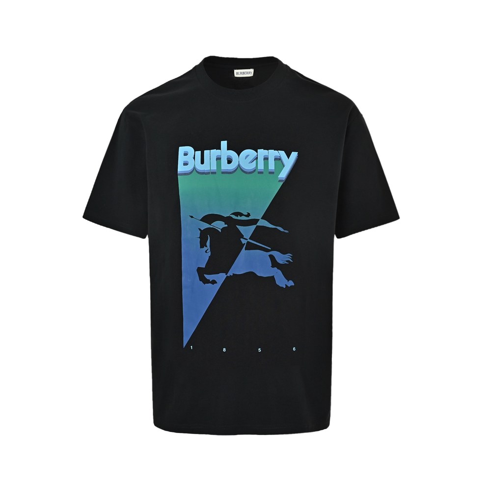 Burberry T-shirts-1231