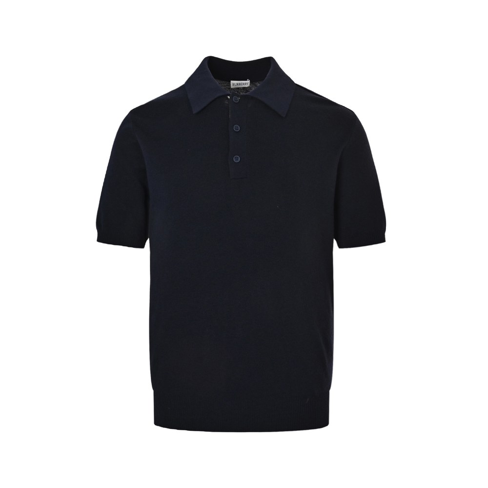 Burberry Polo(AAA)-080