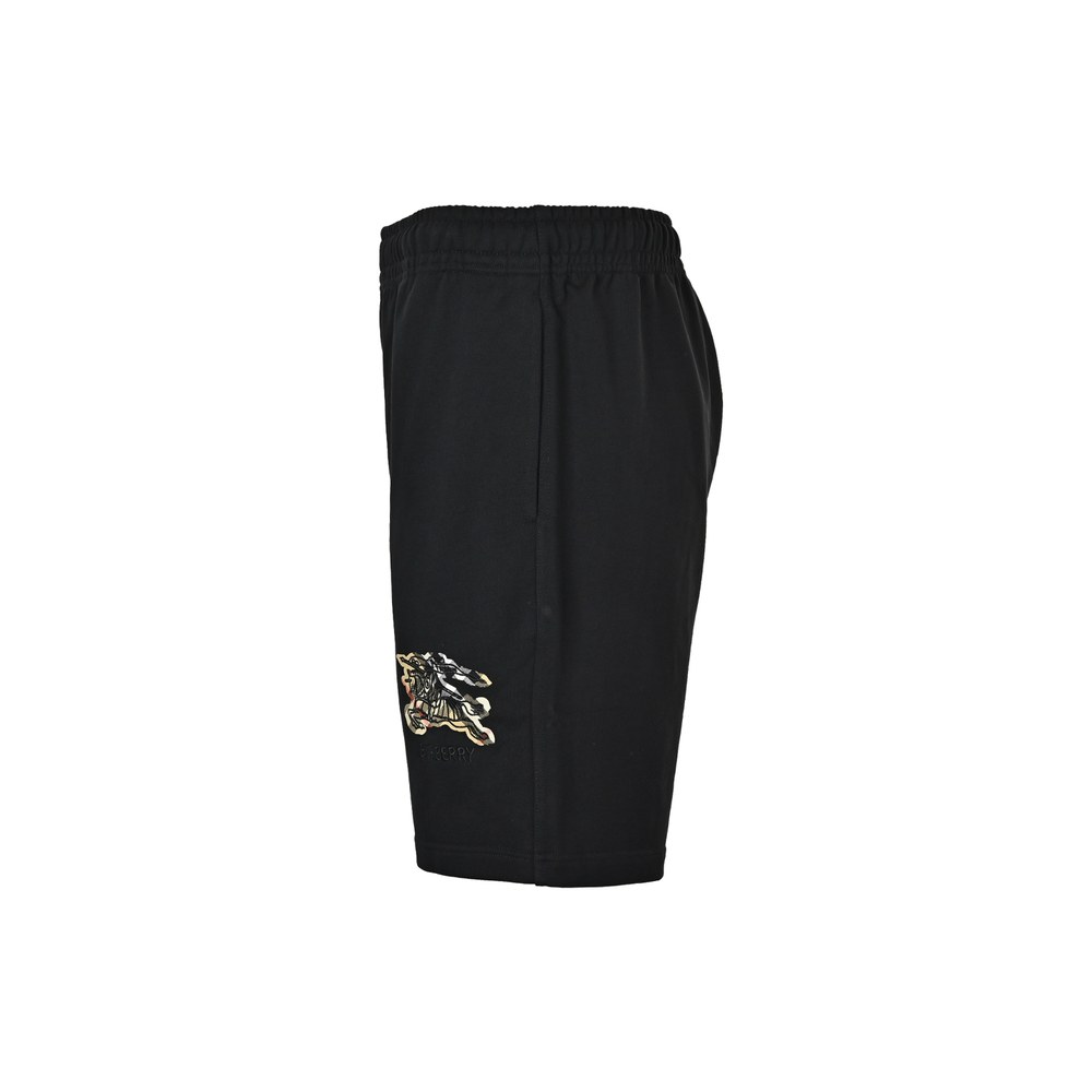 Burberry Shorts-154
