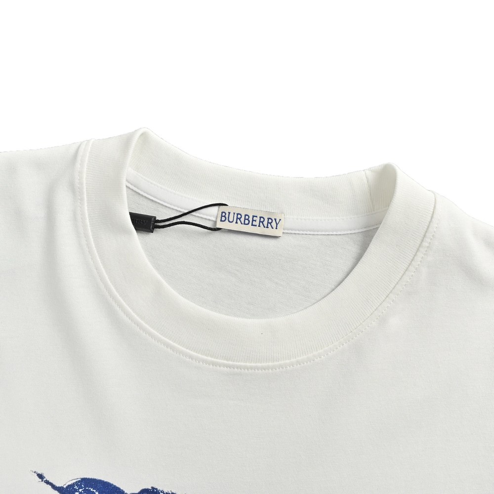 Burberry T-shirts-1063