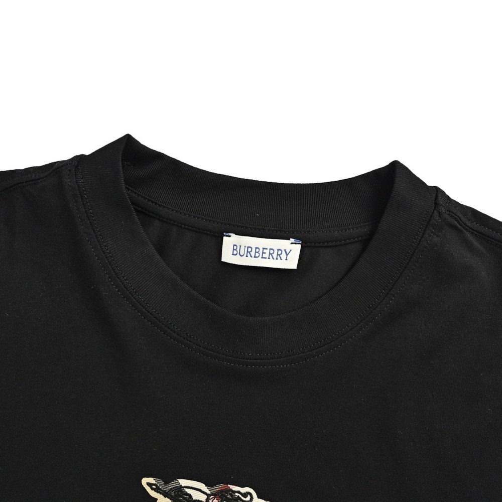 Burberry T-shirts-1099